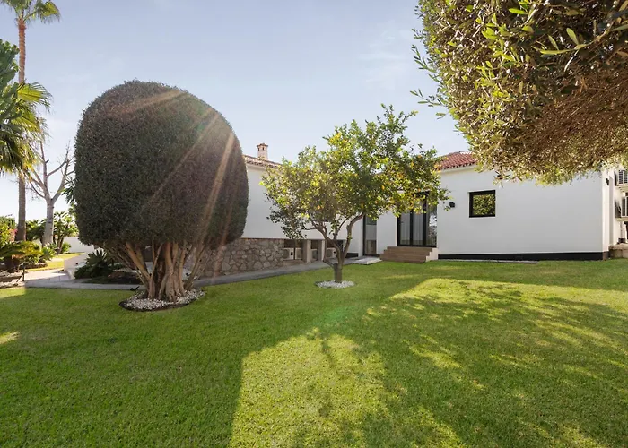 El Olivar