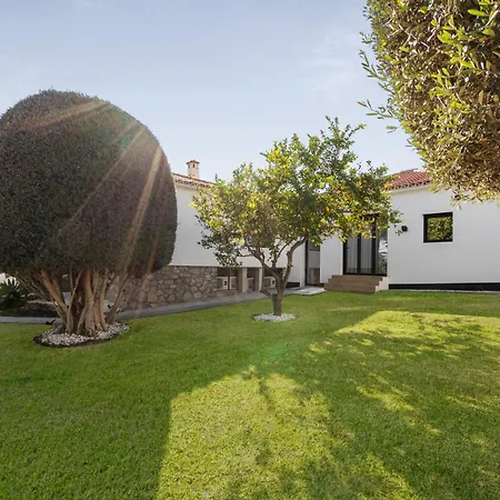 El Olivar